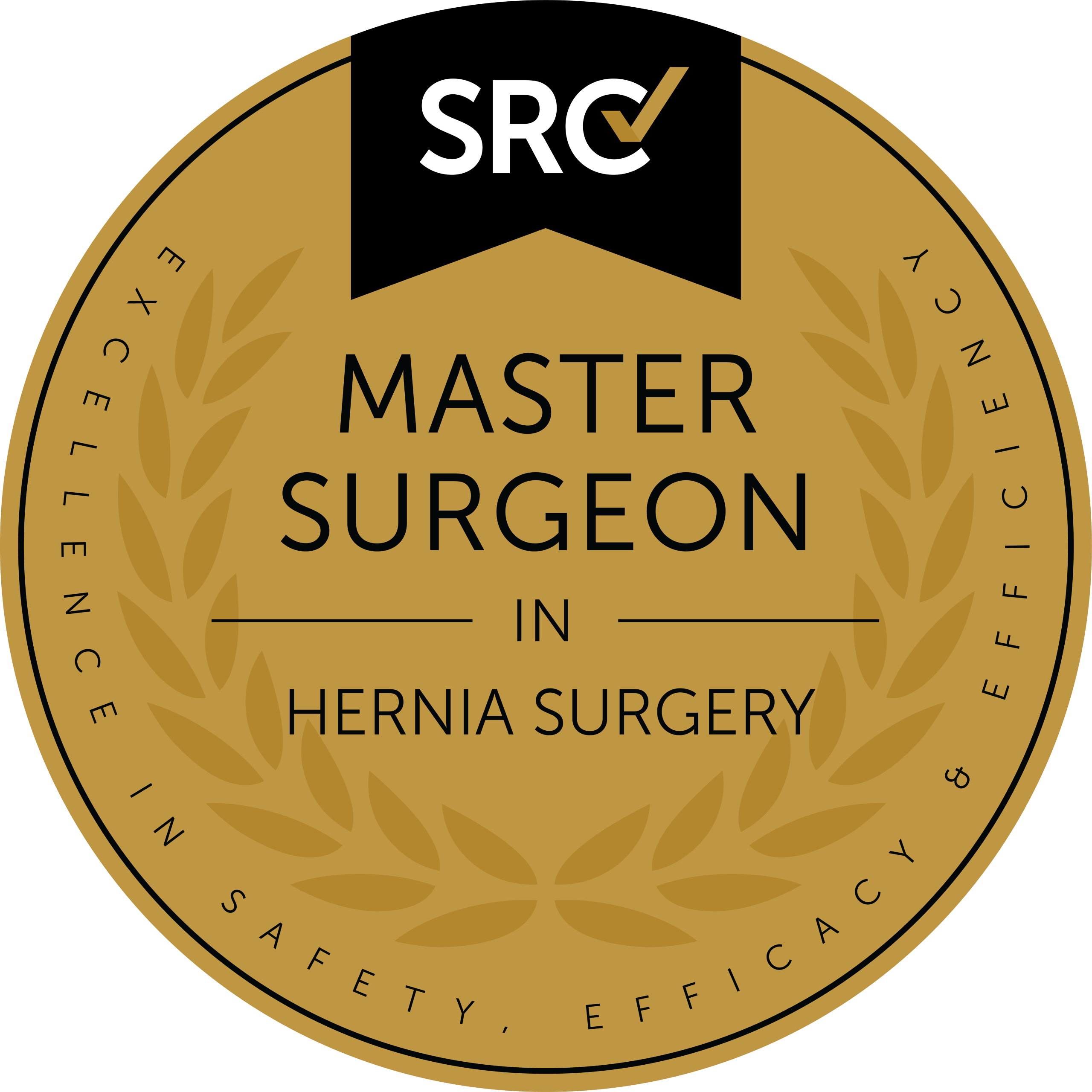 SRC Master Surgeon Awards Γενικός Χειρουργός Αθήνα | Δρ. Ζησιάδης Δημήτριος